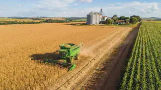 Miniatura do artigo de Gestão Agrícola: Colheita de Cítricos: Guia Prático do Ponto Ideal [2025]