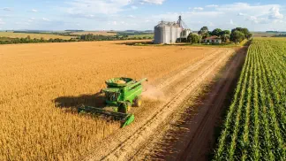 Miniatura do artigo de Gestão Agrícola: Colheita de Cítricos: Guia Prático do Ponto Ideal [2025]