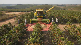 Miniatura do artigo de Gestão Financeira: Colheita de Café: O Guia Completo Sobre Épocas e Métodos