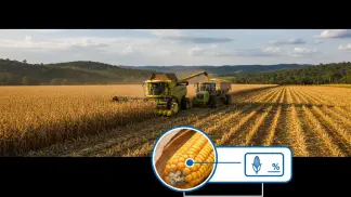 Miniatura do artigo de Gestão Agrícola: Colheita de Milho: Como Reduzir Perdas e Aumentar Produtividade