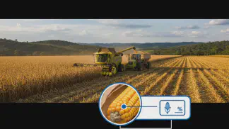 Miniatura do artigo de Gestão Agrícola: Colheita de Milho: Como Reduzir Perdas e Aumentar Produtividade