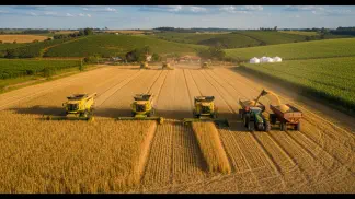 Miniatura do artigo de Gestão Agrícola: Colheita de Soja 2020: Projeções, Desafios e Oportunidades no Brasil