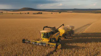 Miniatura do artigo de Gestão Agrícola: Colheita de Soja: O Guia Completo para o Ponto Certo e Máxima Produtividade