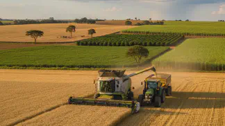 Miniatura do artigo de Mercado Agrícola: Colheita de Trigo no Brasil: Cenário, Clima e Projeções para a Safra