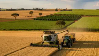 Miniatura do artigo de Mercado Agrícola: Colheita de Trigo no Brasil: Cenário, Clima e Projeções para a Safra