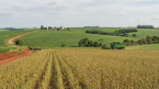 Miniatura do artigo de Gestão Agrícola: Colheita de Pêssego, Nectarina e Ameixa: Guia Prático [2025]