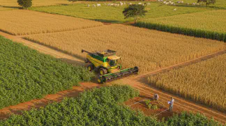 Miniatura do artigo de Gestão Agrícola: Como Calcular a Produtividade da Soja: Um Guia Prático Passo a Passo