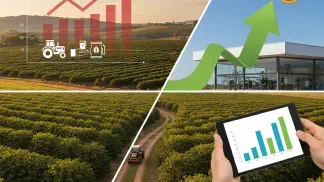 Miniatura do artigo de Gestão Agrícola: Como Calcular o Custo de Produção do Café: Guia Completo e Prático