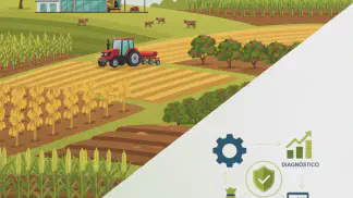 Miniatura do artigo de Consultoria: Como Montar um Projeto de Consultoria Rural Eficaz: 7 Passos Essenciais