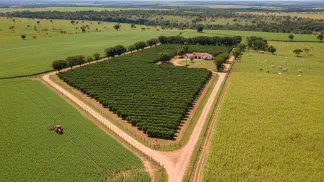 Miniatura do artigo de Gestão Financeira: Condomínio Rural: Como Evitar Conflitos e Administrar Propriedades