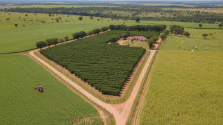 Miniatura do artigo de Gestão Financeira: Condomínio Rural: Como Evitar Conflitos e Administrar Propriedades