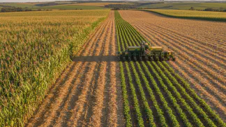Miniatura do artigo de Gestão Agrícola: Consórcio Milho-Braquiária: Como Aumentar a Produtividade da Soja
