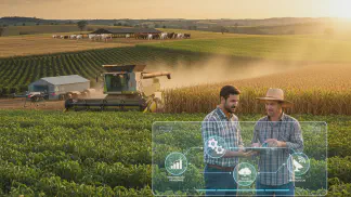 Miniatura do artigo de Consultoria: Consultor Agrícola: Quando e Por Que Contratar um Especialista para sua Fazenda?