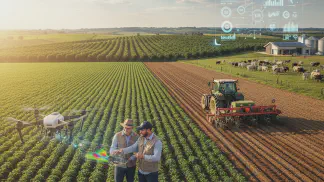 Miniatura do artigo de Consultoria: Consultoria Agronômica: Estratégia e inovacao no agronegocio