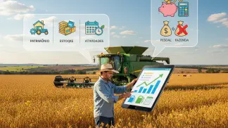 Miniatura do artigo de Gestão Financeira: Contabilidade Agrícola: Um Guia Prático Para Organizar as Finanças da Fazenda