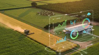 Miniatura do artigo de Gestão Financeira: Contabilidade de Fazenda: Guia Prático para Finanças Rurais