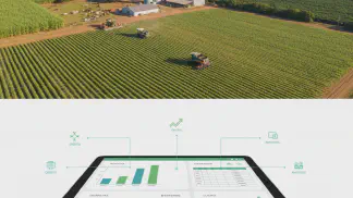 Miniatura do artigo de Gestão Financeira: Contabilidade Rural: Estratégias para Gestão e Lucratividade da Fazenda