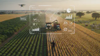 Miniatura do artigo de Gestão Financeira: Controle Agrícola: O Guia para Gerenciar sua Fazenda como uma Empresa de Sucesso