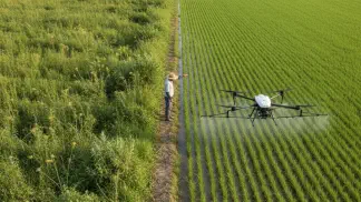 Miniatura do artigo de Manejo de Plantas Daninhas: Controle de Plantas Daninhas no Arroz: Um Guia Prático de Herbicidas e Manejo