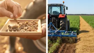 Manejo-De-Plantas-Daninhas