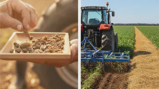 Miniatura do artigo de Manejo de Plantas Daninhas: Controle de Plantas Daninhas Sem Herbicidas: 5 Métodos Essenciais