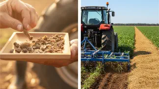 Miniatura do artigo de Manejo de Plantas Daninhas: Controle de Plantas Daninhas Sem Herbicidas: 5 Métodos Essenciais