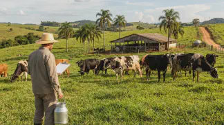 Miniatura do artigo de Gestão Agrícola: Controle Leiteiro: Guia Definitivo para Lucrar Mais [2025]
