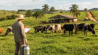 Miniatura do artigo de Gestão Agrícola: Controle Leiteiro: Guia Definitivo para Lucrar Mais [2025]
