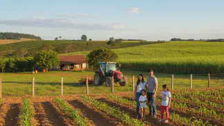 Miniatura do artigo de Crédito Rural: Crédito Fundiário: Guia do Programa Terra Brasil para Compra de Terras