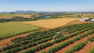 Miniatura do artigo de Gestão Agrícola: Cultivares de Alto Rendimento: Como Escolher e Lucrar [2025]