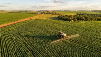 Miniatura do artigo de Gestão Agrícola: Cultivares de Frutas Vermelhas: Guia para Lucrar Mais [2025]