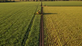 Miniatura do artigo de Gestão Agrícola: Cultivares de Soja: Como Garantir 50% do Potencial da Lavoura