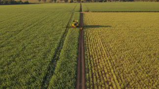 Miniatura do artigo de Gestão Agrícola: Cultivares de Soja: Como Garantir 50% do Potencial da Lavoura