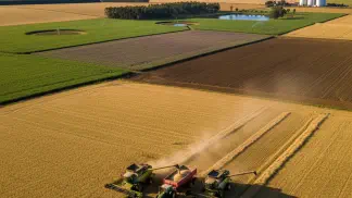 Miniatura do artigo de Gestão Agrícola: Cultivo de Cevada: Guia Completo de Manejo para a Safra de Inverno
