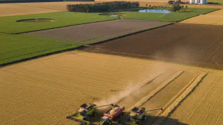 Miniatura do artigo de Gestão Agrícola: Cultivo de Cevada: Guia Completo de Manejo para a Safra de Inverno