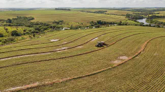 Miniatura do artigo de Gestão Agrícola: Curva de Nível e Terraço: Como Reter Água e Adubo [2025]