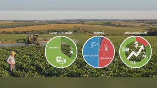 Miniatura do artigo de Gestão Agrícola: Custo de Produção de Soja 2019/20: Uma Análise dos Fatores de Alta