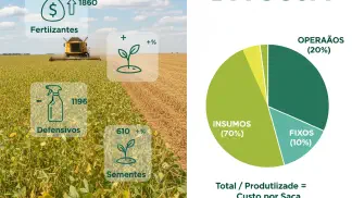 Miniatura do artigo de Gestão Financeira: Custo de Produção de Soja: Como Calcular e Planejar a Safra 2024/2025