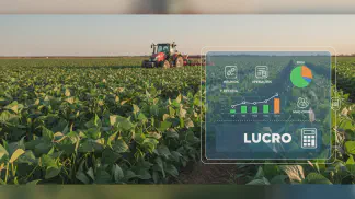 Miniatura do artigo de Gestão Agrícola: Custo de Produção do Feijão: O Guia Completo para Calcular e Lucrar Mais