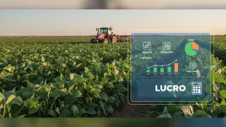 Miniatura do artigo de Gestão Agrícola: Custo de Produção do Feijão: O Guia Completo para Calcular e Lucrar Mais