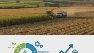 Miniatura do artigo de Planejamento Agrícola: Custo do Milho Silagem: Como Calcular por Hectare e Definir o Preço de Venda