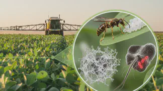 Miniatura do artigo de Gestão Agrícola: Defensivos Biológicos: Guia Prático para Aumentar a Produtividade na Sua Lavoura