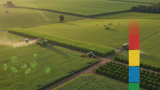 Miniatura do artigo de Gestão Agrícola: Defensivos Naturais: Um Guia Prático para Aumentar a Eficiência na Lavoura