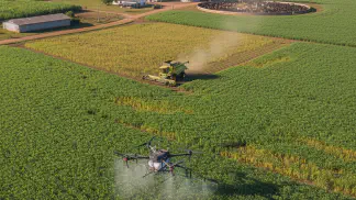 Miniatura do artigo de Gestão Agrícola: Deficiência de Potássio na Soja: Sinais, Causas e Quando Fazer a Adubação