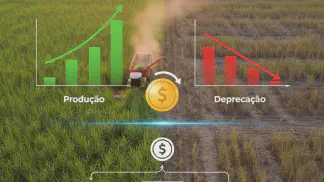 Miniatura do artigo de Gestão Financeira: Depreciação da Lavoura: Como Calcular e Garantir o Futuro da sua Produção