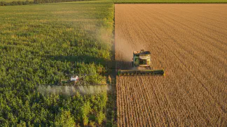 Miniatura do artigo de Gestão Agrícola: Dessecação de Soja para Colheita: O Guia Completo para Fazer Certo