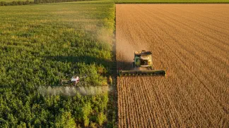 Miniatura do artigo de Gestão Agrícola: Dessecação de Soja para Colheita: O Guia Completo para Fazer Certo