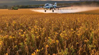 Miniatura do artigo de Gestão Agrícola: Dessecação Pré-Colheita da Soja: Quando e Como Aplicar