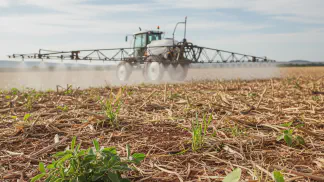 Miniatura do artigo de Manejo de Plantas Daninhas: Dessecação Pré-Plantio de Milho: Manejo de Plantas Daninhas