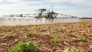 Miniatura do artigo de Manejo de Plantas Daninhas: Dessecação Pré-Plantio de Milho: Manejo de Plantas Daninhas